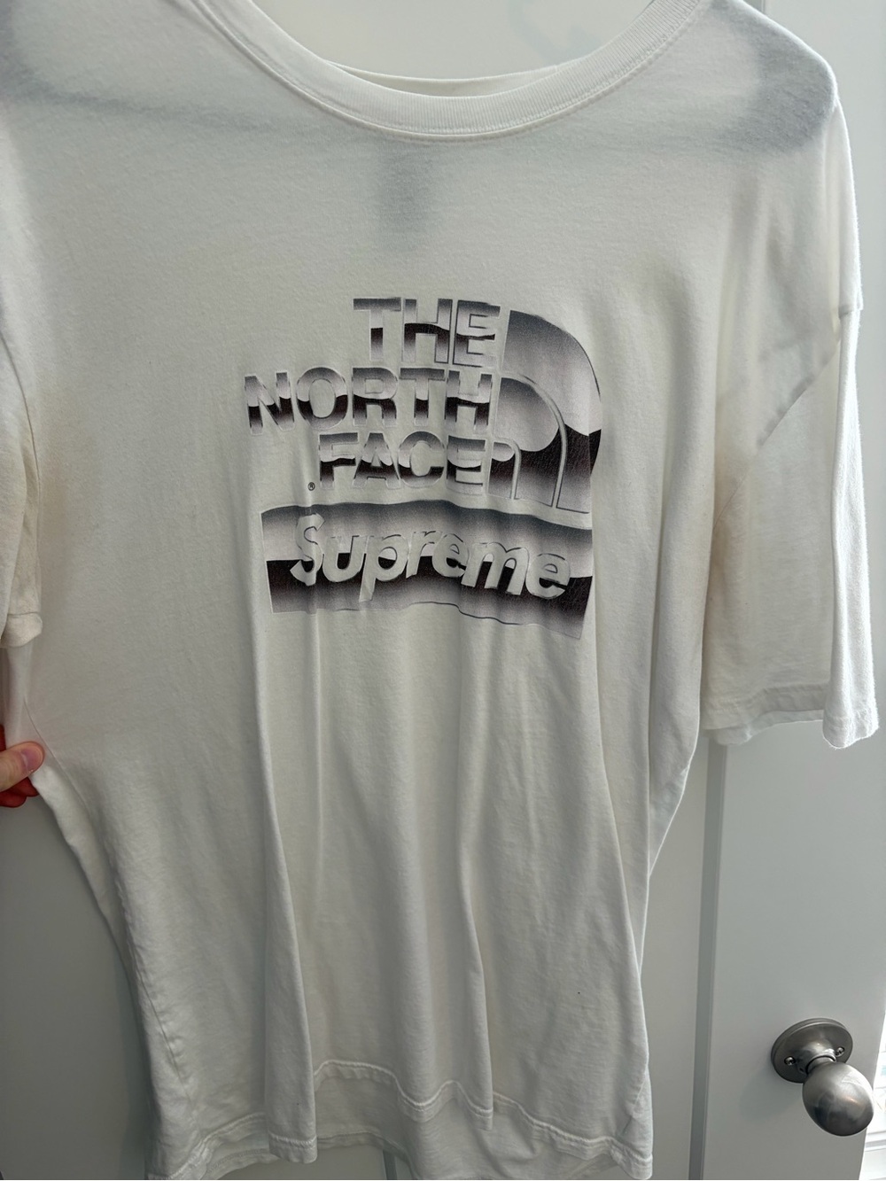 Supreme x The North Face Metallic Logo T-Shirt Spring/Summer 2018 Collab